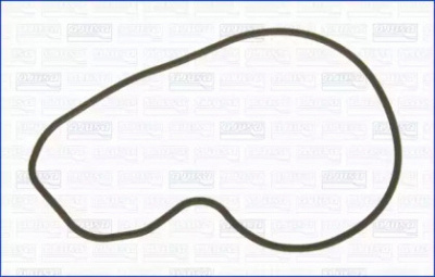 WILMINK GROUP wg1751376 -  Прокладка, водяной насос